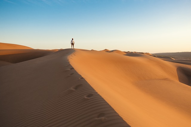 entrepreneur alone in a desert