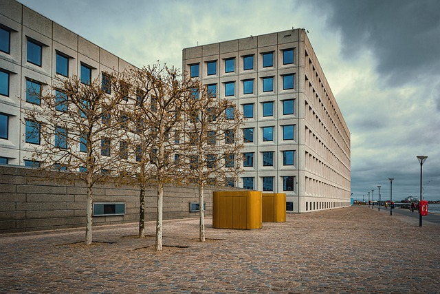 Denmark’s Startup Accelerator Ecosystem